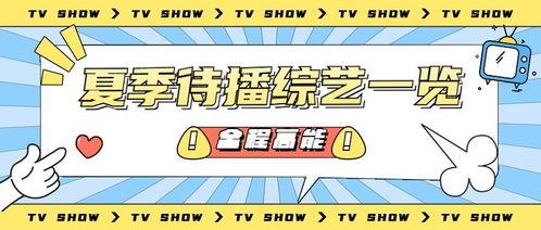 娱乐营销号吃瓜可信吗,揭秘娱乐营销号“吃瓜”背后的可信度之谜