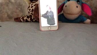 吃瓜娱乐音乐盒,一场听觉与视觉的盛宴