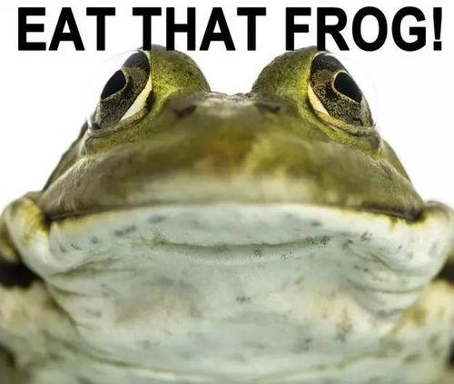 娱乐圈吃瓜酱青蛙