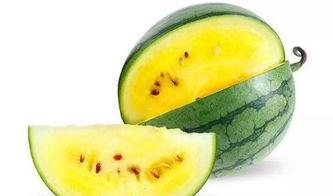 吃瓜娱乐圈素材哪里找