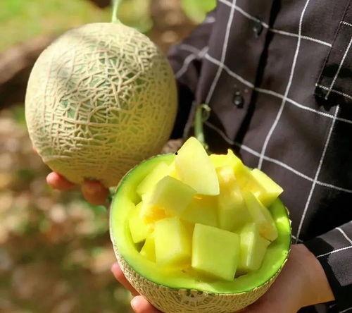 娱乐圈吃瓜壁纸图片,揭秘明星幕后故事